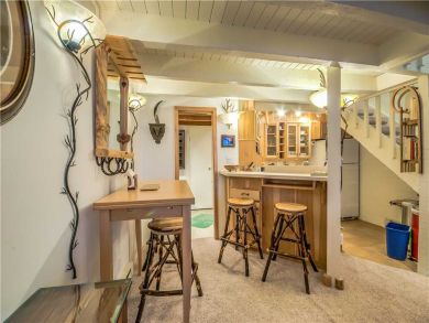 Steamboat Springs Home 927521