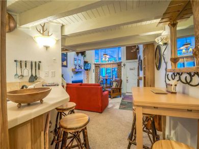 Steamboat Springs Home 927521