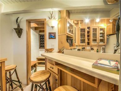 Steamboat Springs Home 927521