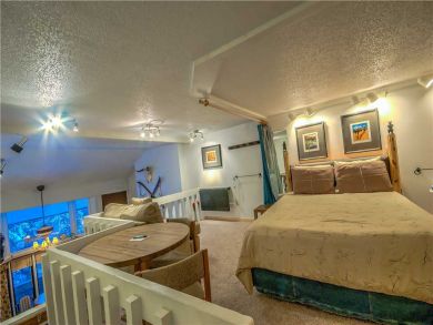 Steamboat Springs Home 927521