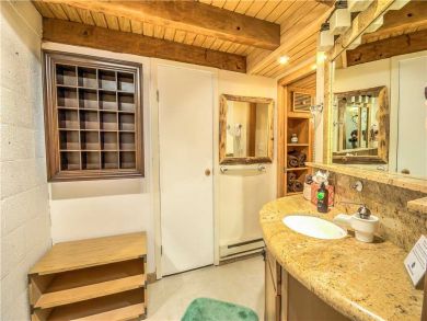 Steamboat Springs Home 927521
