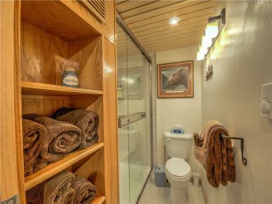 Steamboat Springs Home 927521
