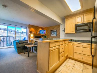 Steamboat Springs Home 927523