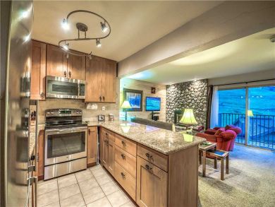 Steamboat Springs Home 927525