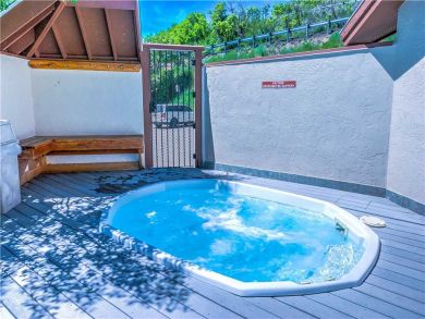 Steamboat Springs Home 927525