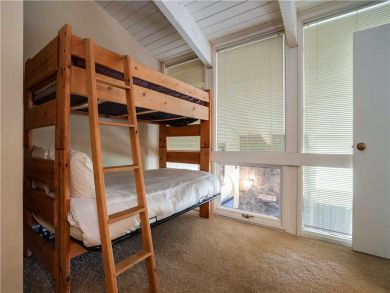 Steamboat Springs Home 927526