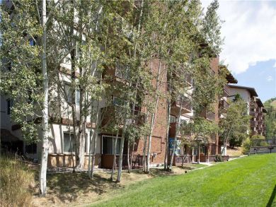 Steamboat Springs Home 927526