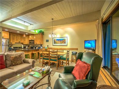 Steamboat Springs Home 927527