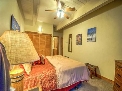 Steamboat Springs Home 927527