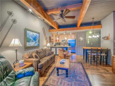 Steamboat Springs Home 927529