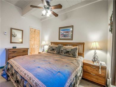 Steamboat Springs Home 927529
