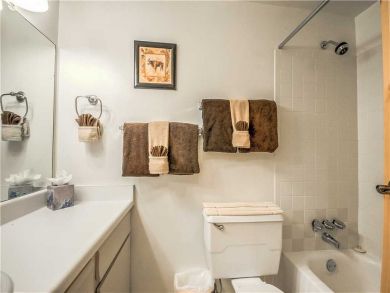 Steamboat Springs Home 927529