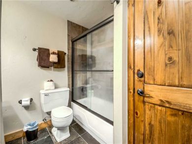 Steamboat Springs Home 927530