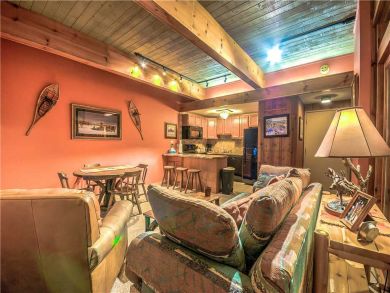 Steamboat Springs Home 927534