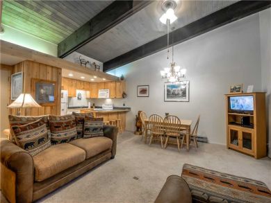 Steamboat Springs Home 927536