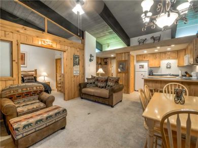 Steamboat Springs Home 927536