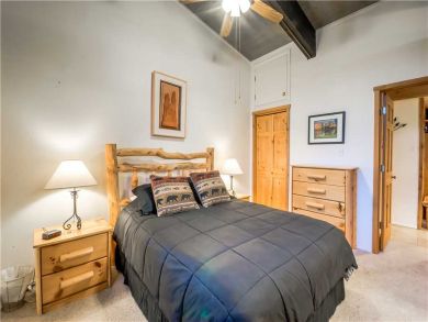 Steamboat Springs Home 927536