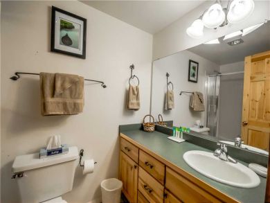 Steamboat Springs Home 927536