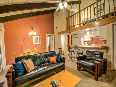 Steamboat Springs Home 927538