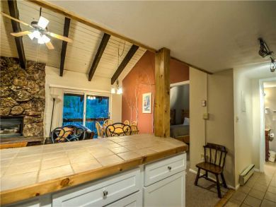 Steamboat Springs Home 927538