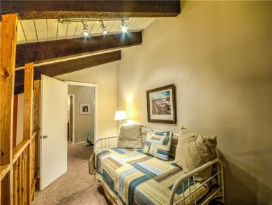Steamboat Springs Home 927538