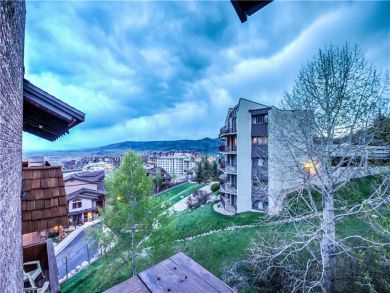 Steamboat Springs Home 927538