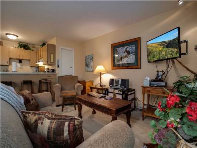 Steamboat Springs Home 927539