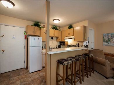 Steamboat Springs Home 927539