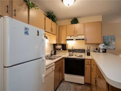 Steamboat Springs Home 927539