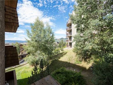 Steamboat Springs Home 927539