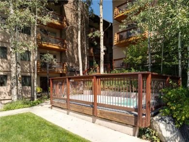 Steamboat Springs Home 927539