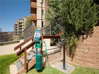 Steamboat Springs Home 927539