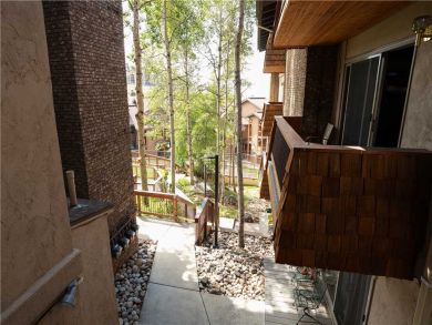 Steamboat Springs Home 927539
