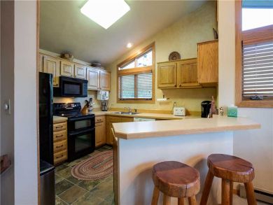 Steamboat Springs Home 927541