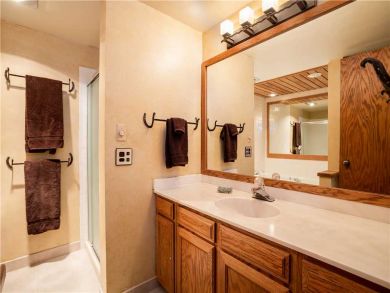 Steamboat Springs Home 927541