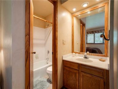 Steamboat Springs Home 927541