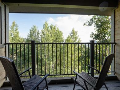 Steamboat Springs Home 927541