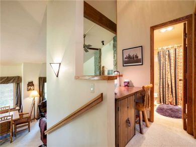 Steamboat Springs Home 927541