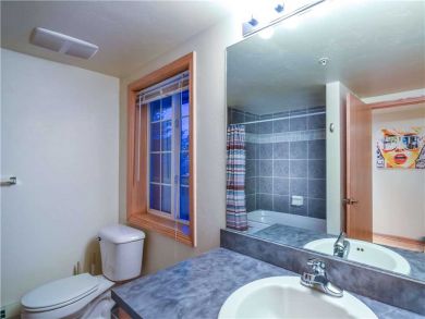 Steamboat Springs Home 927542