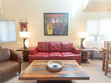 Steamboat Springs Home 927543
