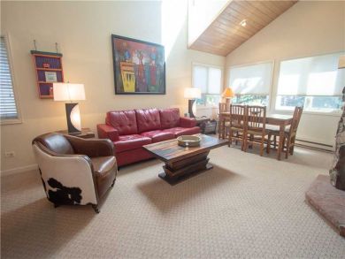 Steamboat Springs Home 927543