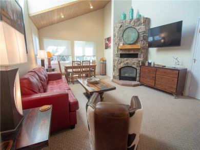 Steamboat Springs Home 927543