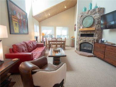 Steamboat Springs Home 927543