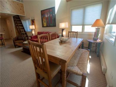 Steamboat Springs Home 927543