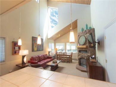 Steamboat Springs Home 927543