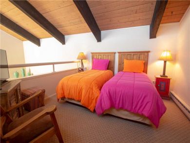 Steamboat Springs Home 927543