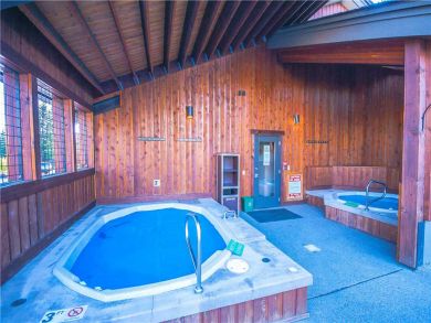 Steamboat Springs Home 927543
