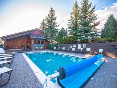 Steamboat Springs Home 927543