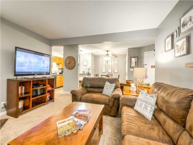 Steamboat Springs Home 927545