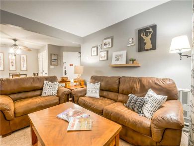 Steamboat Springs Home 927545